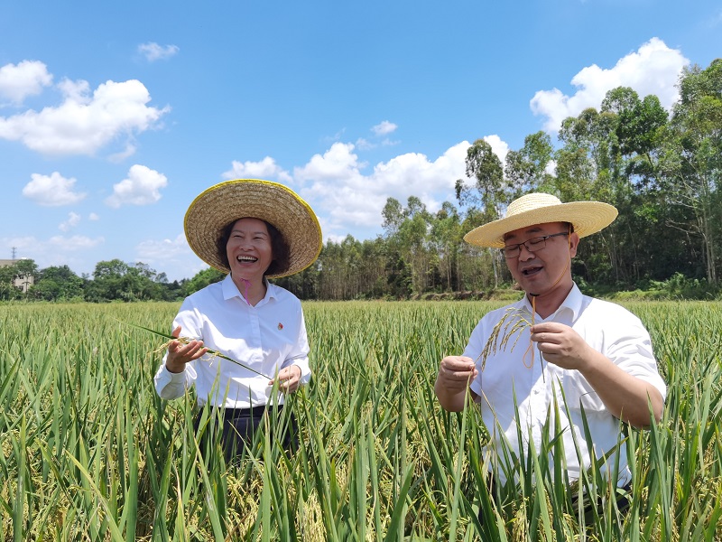 1660193730967569.jpg 圖片2.jpg